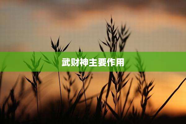 武财神主要作用