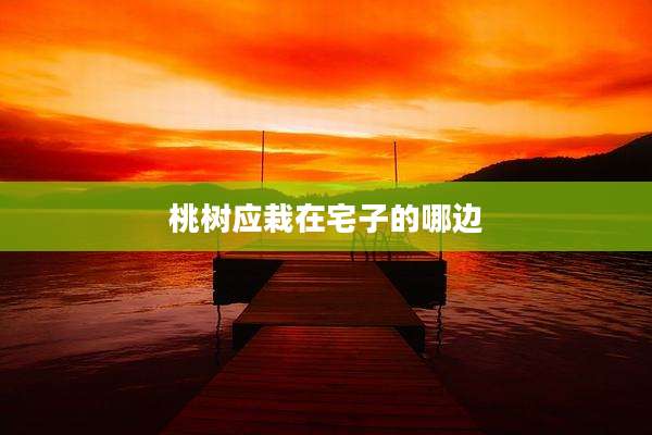 桃树应栽在宅子的哪边