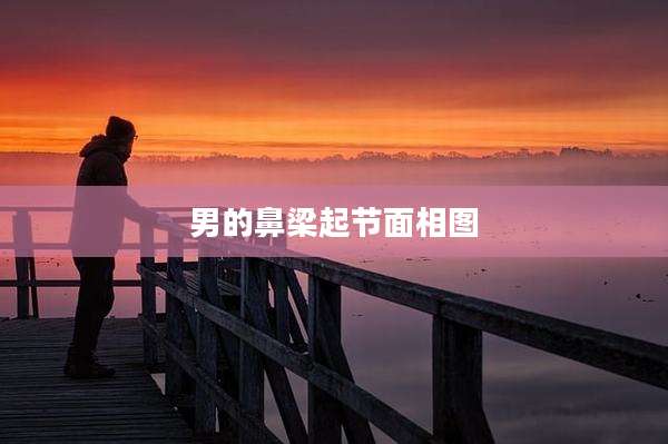 男的鼻梁起节面相图