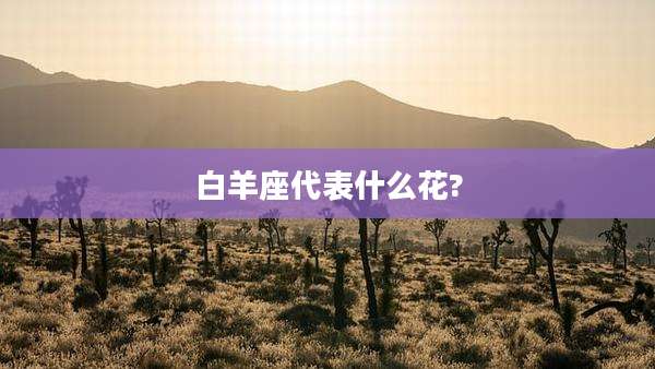 白羊座代表什么花?