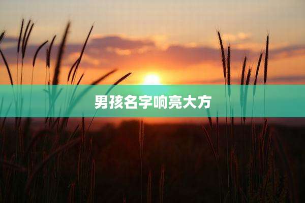 男孩名字响亮大方
