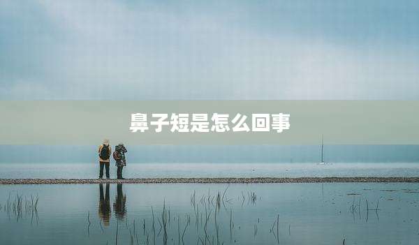 鼻子短是怎么回事