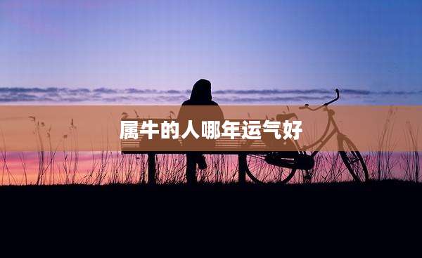 属牛的人哪年运气好