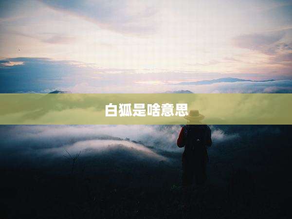白狐是啥意思