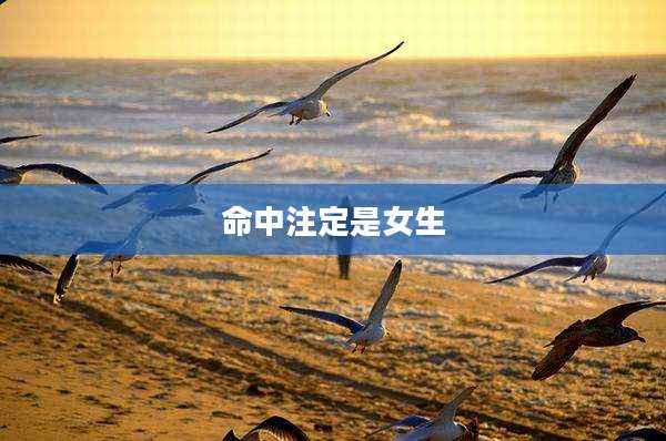 命中注定是女生
