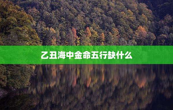 乙丑海中金命五行缺什么