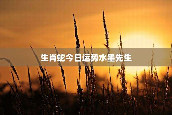 生肖蛇今日运势水墨先生