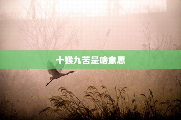 十猴九苦是啥意思