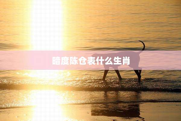 暗度陈仓表什么生肖