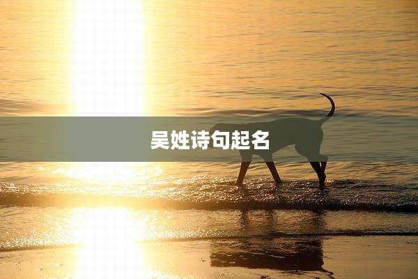 吴姓诗句起名