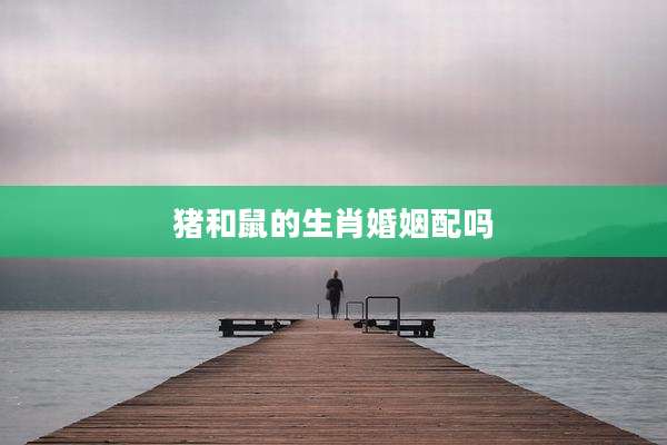 猪和鼠的生肖婚姻配吗