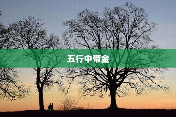 五行中带金