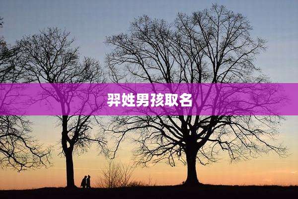 羿姓男孩取名