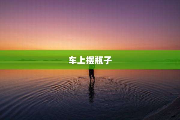 车上摆瓶子