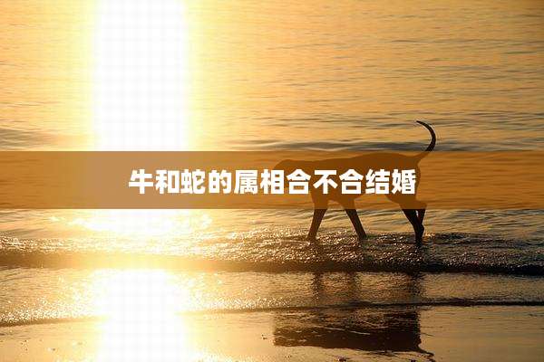 牛和蛇的属相合不合结婚