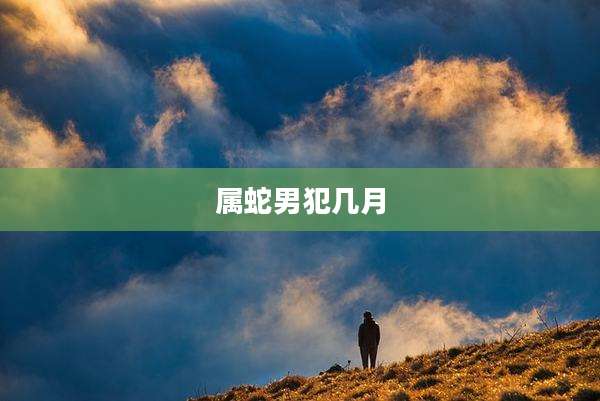 属蛇男犯几月