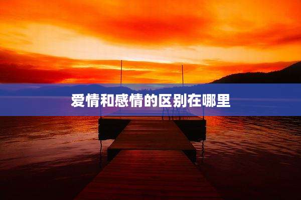 爱情和感情的区别在哪里