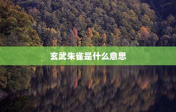 玄武朱雀是什么意思