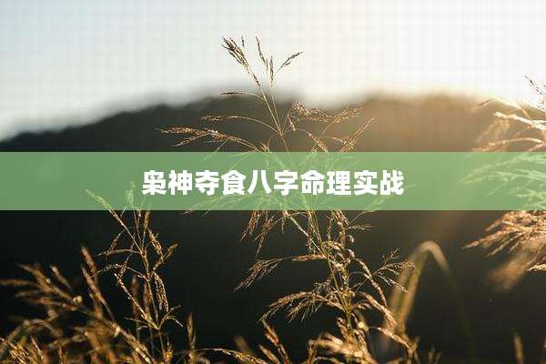 枭神夺食八字命理实战