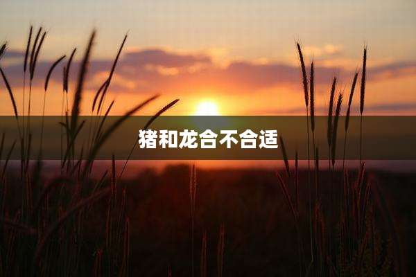 猪和龙合不合适