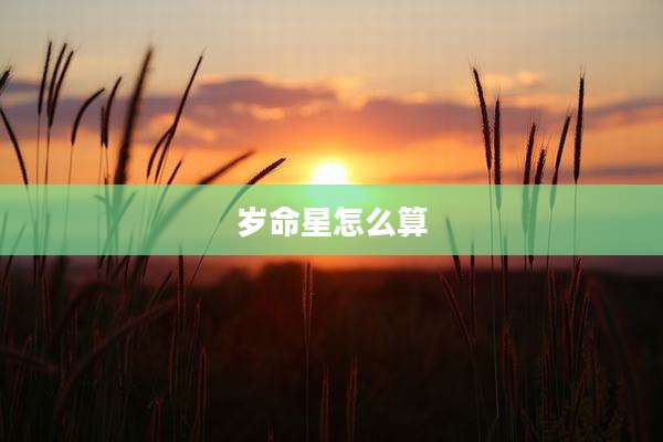 岁命星怎么算