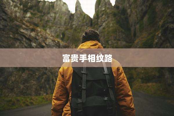 富贵手相纹路