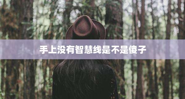 手上没有智慧线是不是傻子