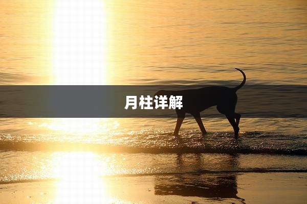 月柱详解