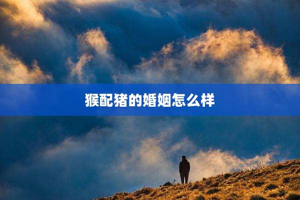 猴配猪的婚姻怎么样