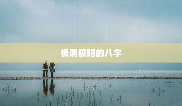 极阴极阳的八字