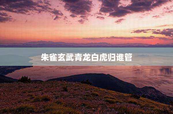 朱雀玄武青龙白虎归谁管
