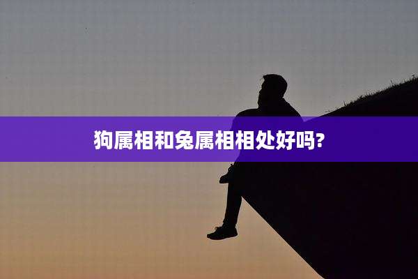 狗属相和兔属相相处好吗?