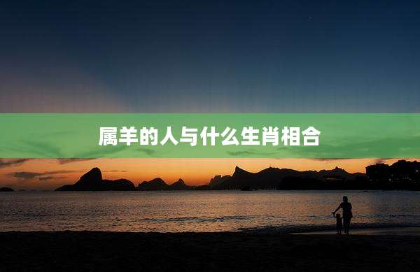 属羊的人与什么生肖相合