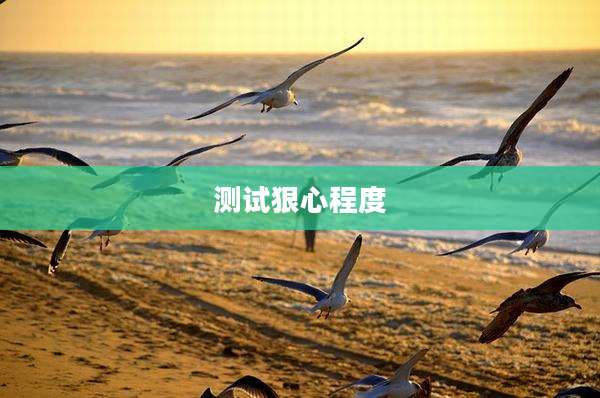 测试狠心程度