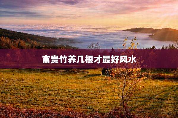 富贵竹养几根才最好风水