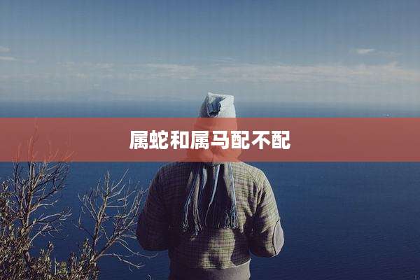 属蛇和属马配不配