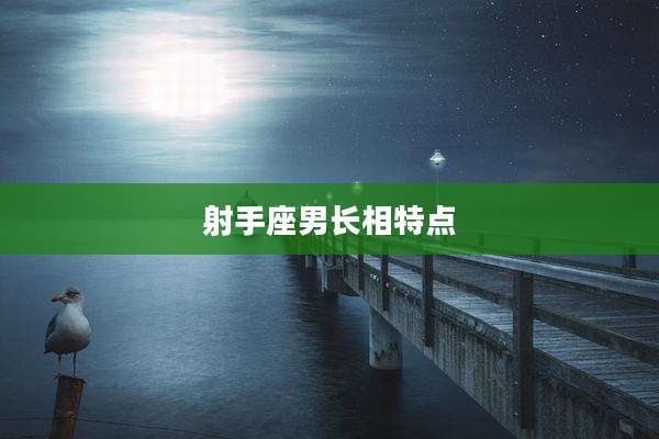 射手座男长相特点