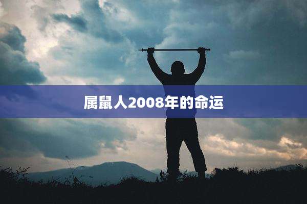 属鼠人2008年的命运