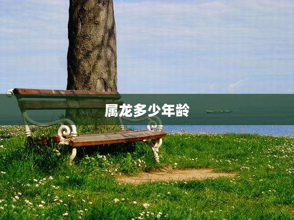 属龙多少年龄