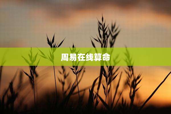 周易在线算命
