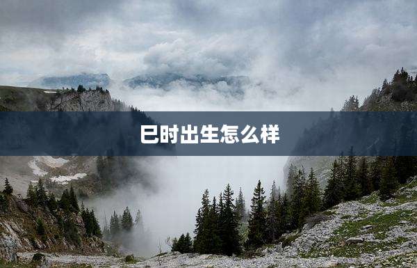 巳时出生怎么样
