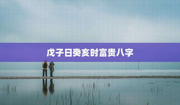戊子日癸亥时富贵八字
