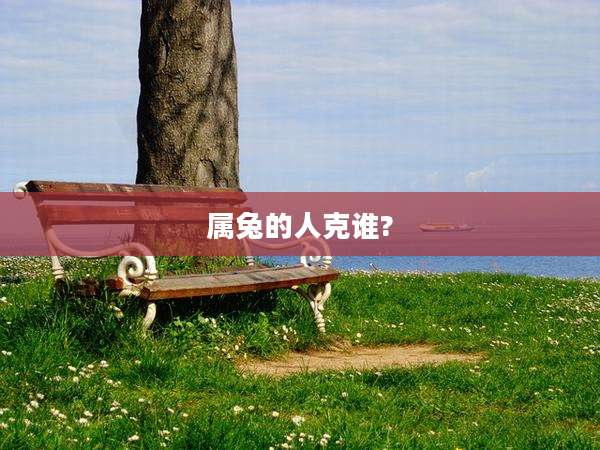 属兔的人克谁?