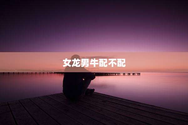 女龙男牛配不配