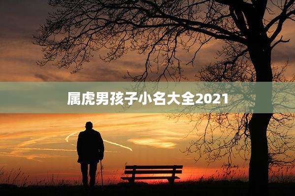 属虎男孩子小名大全2021