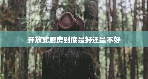 开放式厨房到底是好还是不好