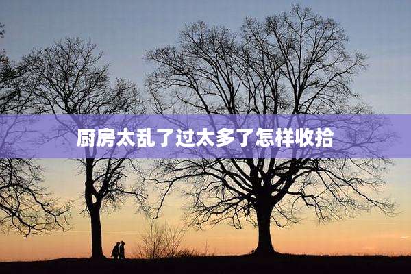 厨房太乱了过太多了怎样收拾