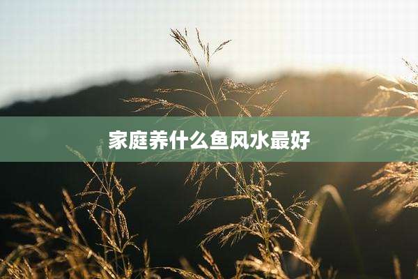 家庭养什么鱼风水最好