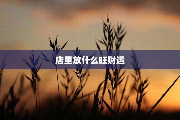店里放什么旺财运