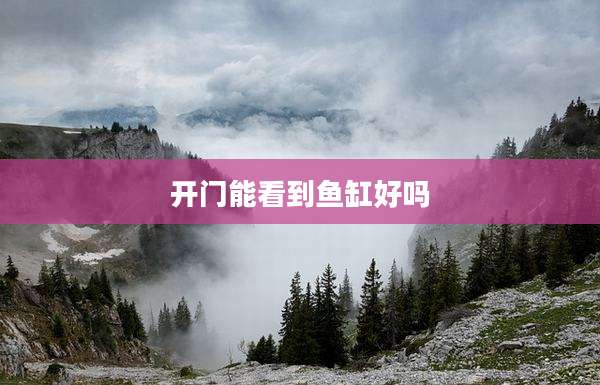 开门能看到鱼缸好吗